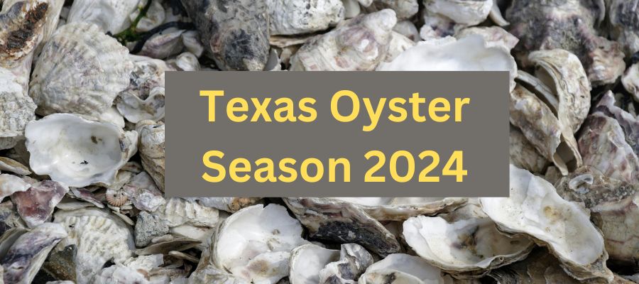 Texas  Oyster Season 